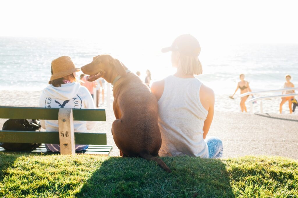 A dog and it's owner sit outside on a hot sunny day.